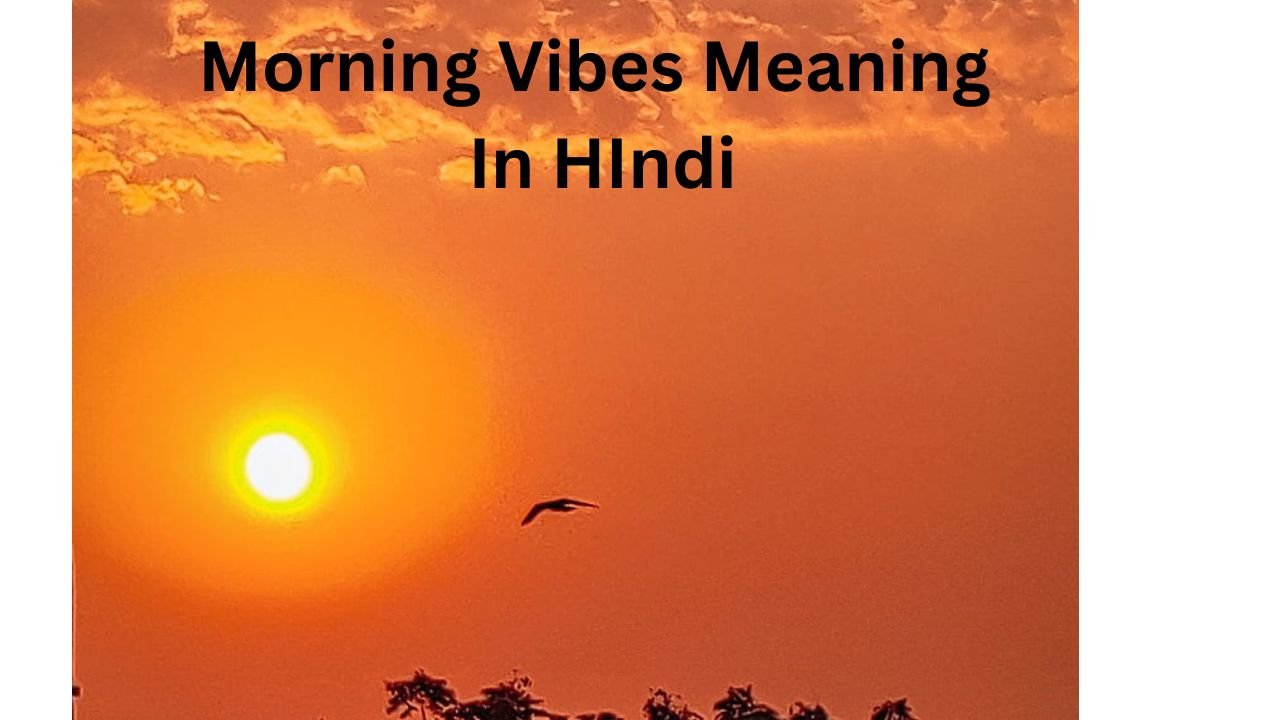 morning vibes meaning in hindi